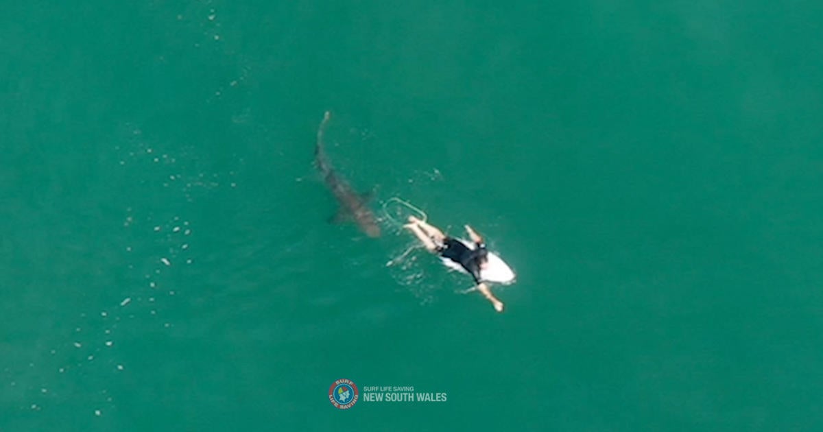 Dramatic drone video shows surfer’s close call with shark: “My heart just sank”