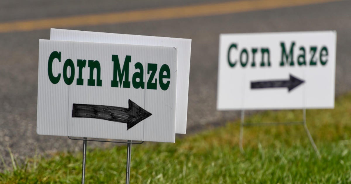 Up to your ears and getting lost: Yelp data helps navigate U.S. corn mazes this Halloween