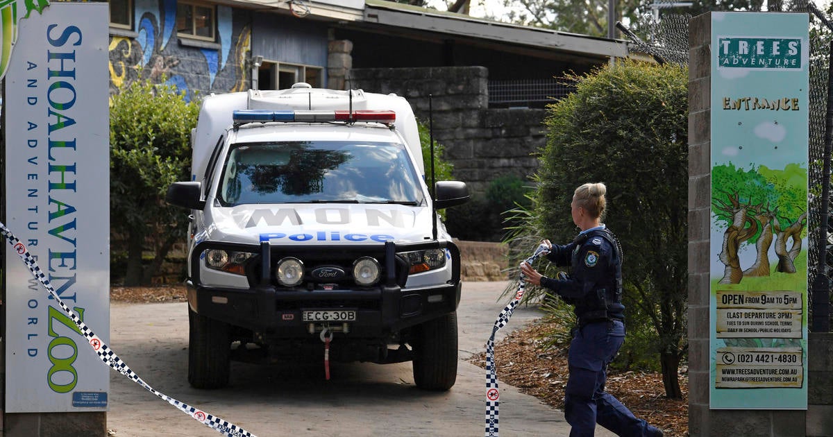 Zookeeper in critical condition after she's mauled by 2 lions in Australia: "Absolutely harrowing"