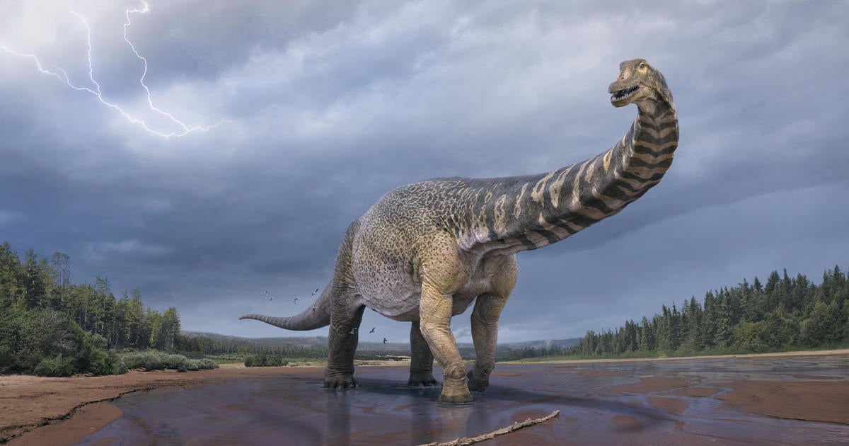 Australotitan Cooperensis, one of the largest dinosaur species to ever roam the Earth, discovered in Australia