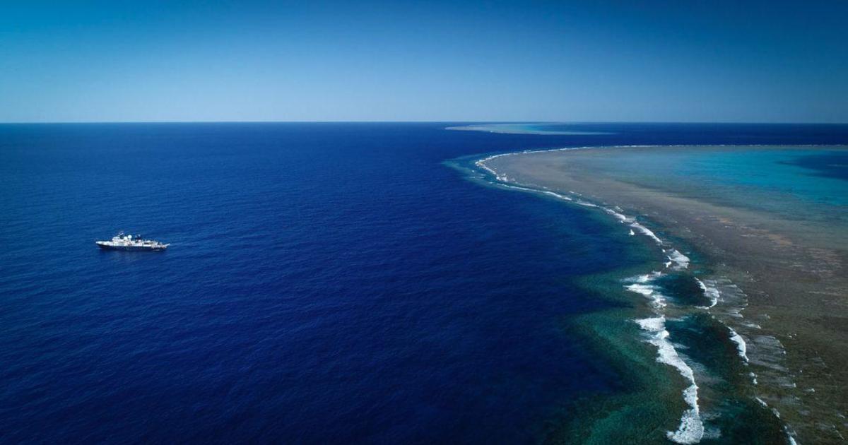 Massive coral reef taller than the Empire State Building found off Australian coast