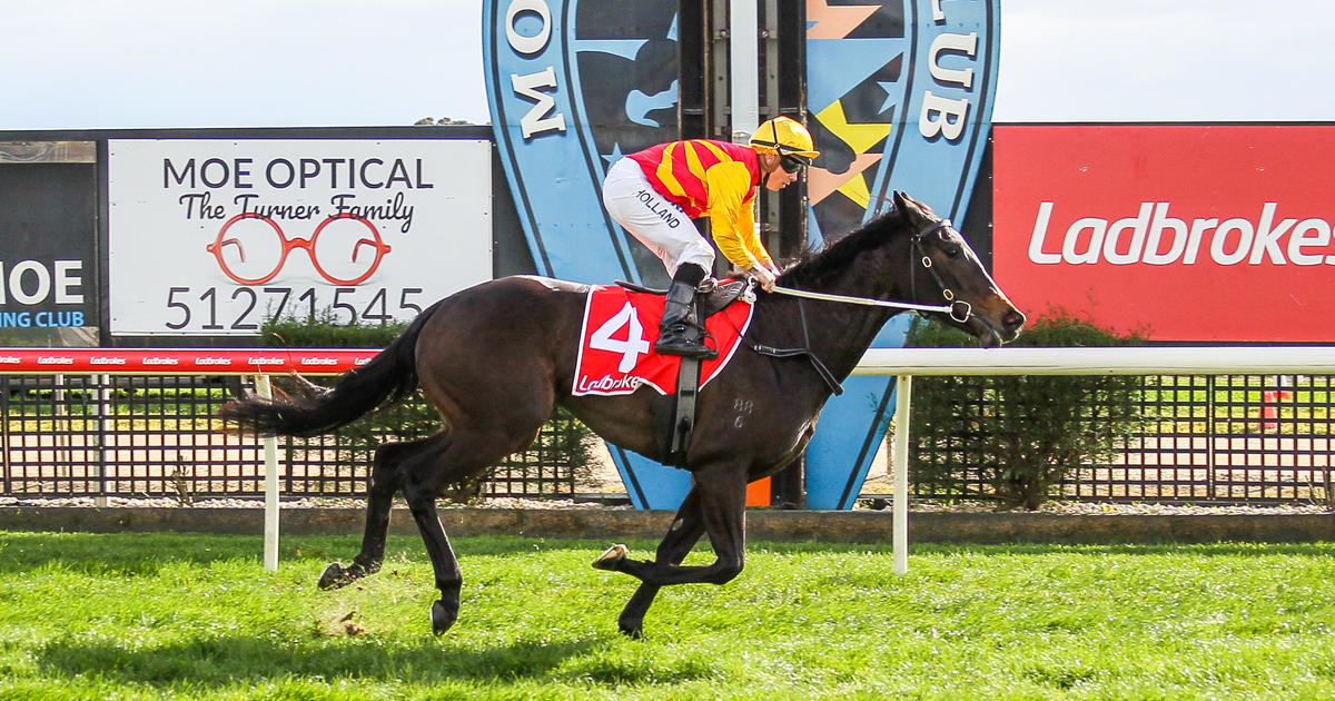 Jockey Dean Holland dies after falling off horse during race in Australia