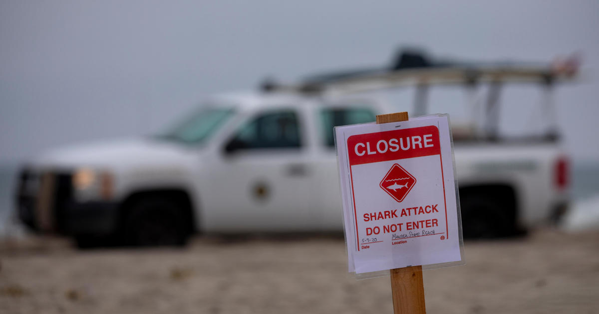 Fatal shark attack closes Sydney beaches as authorities try to catch great white thought to be 10 feet long